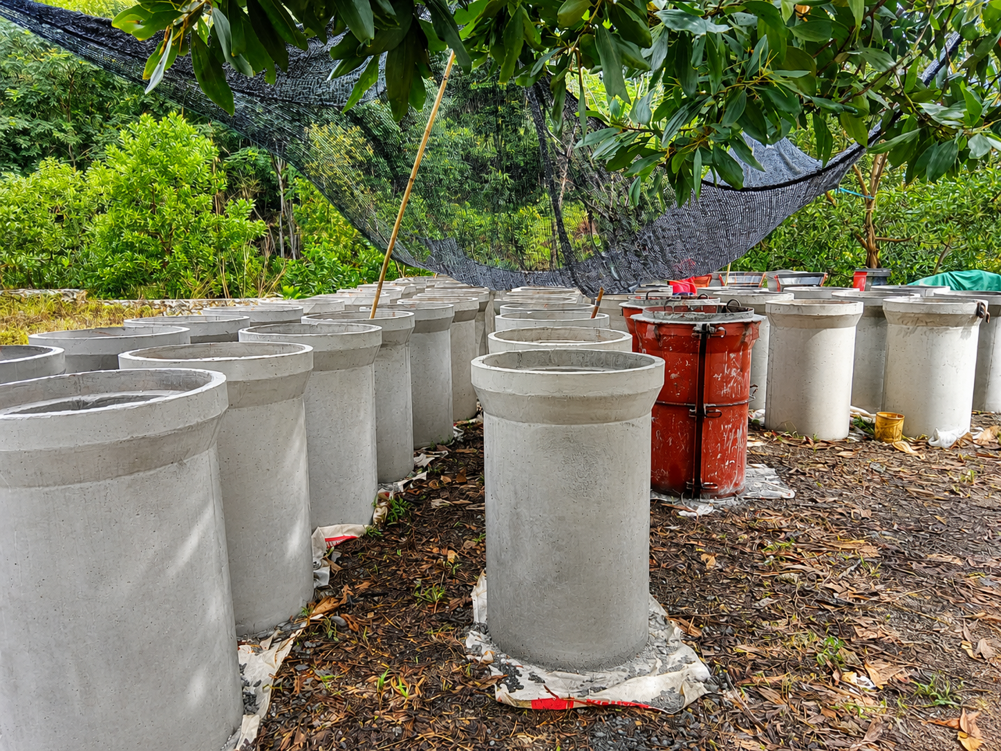 Buis Beton